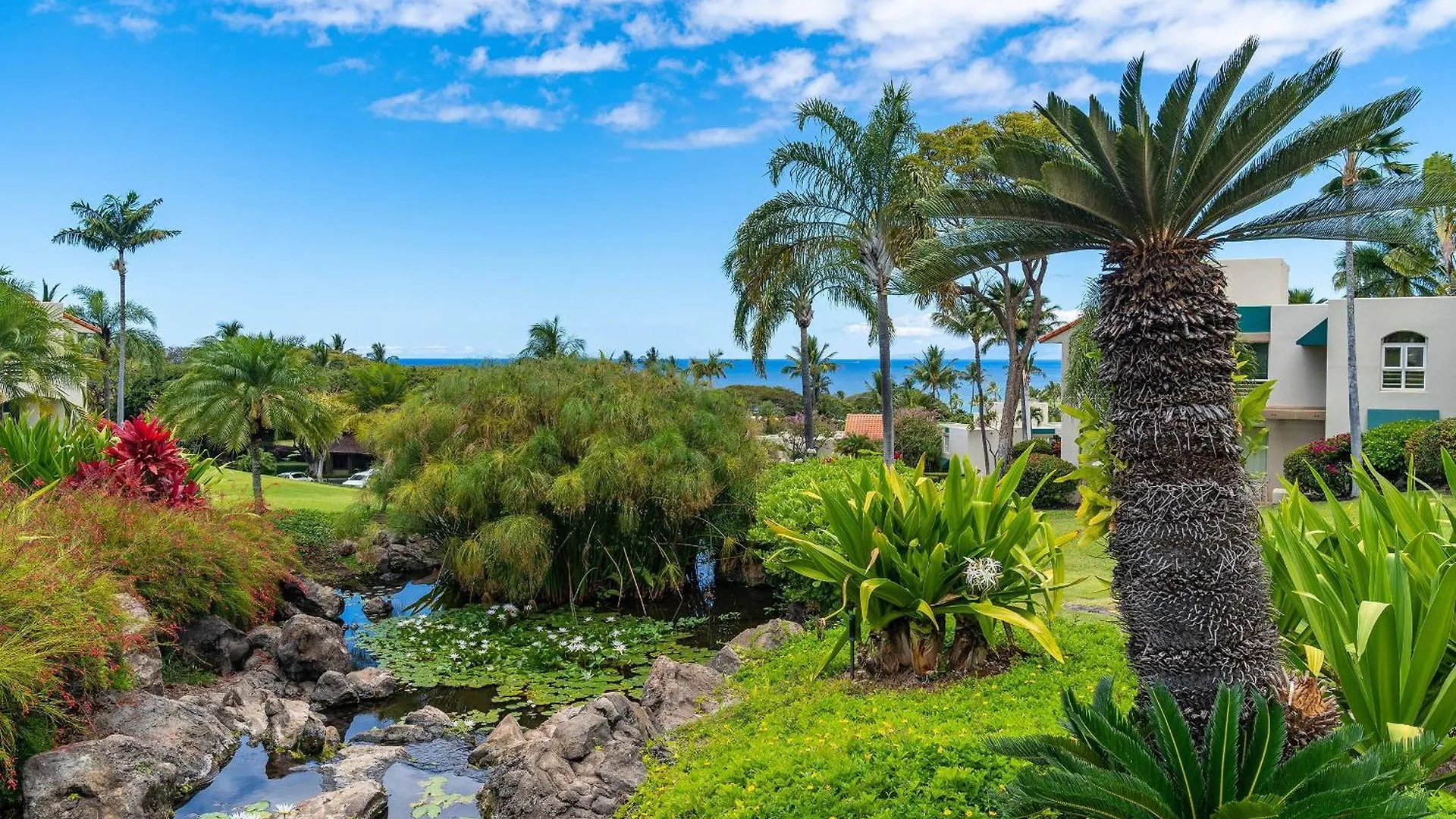 Palms At Wailea 703: Luxury Renovation, Split Ac! Villa United States